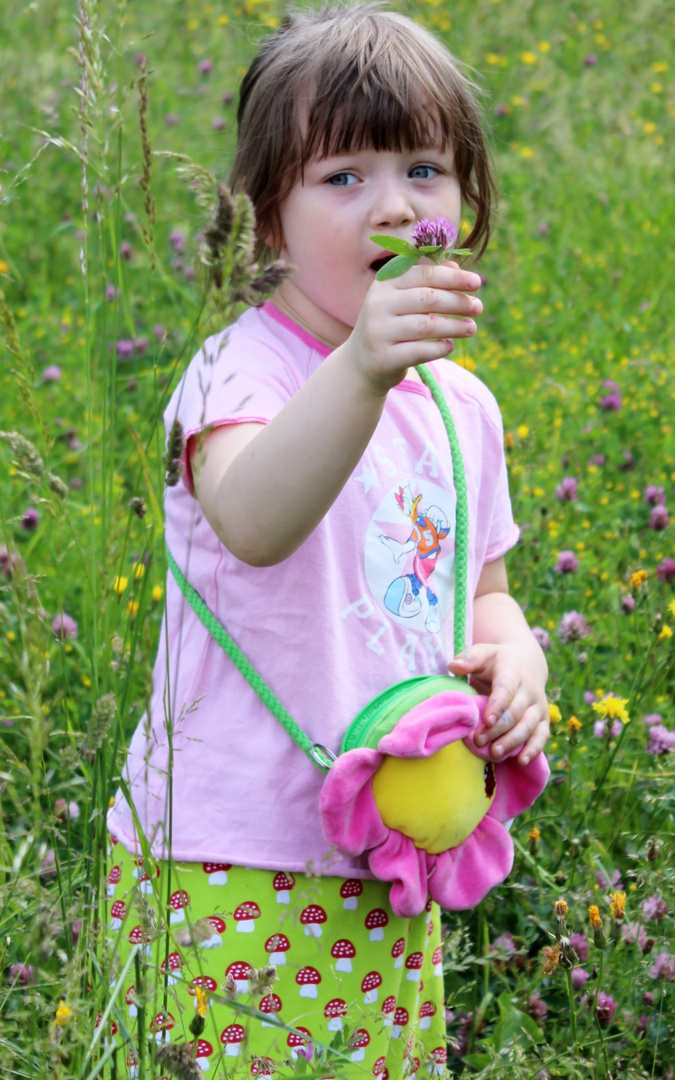 auf der blumenwiese