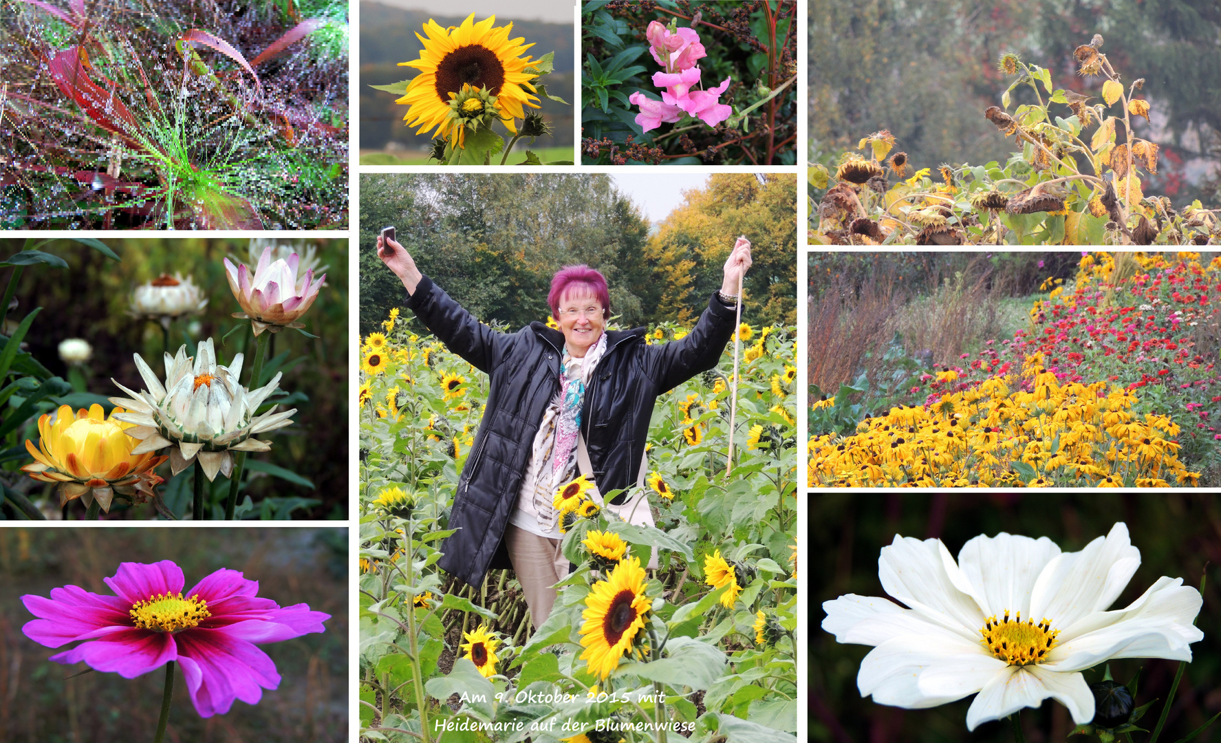 Auf der Blumenwiese mit Heidemarie