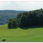 Auf der Bonifatiusroute bei Ortenberg