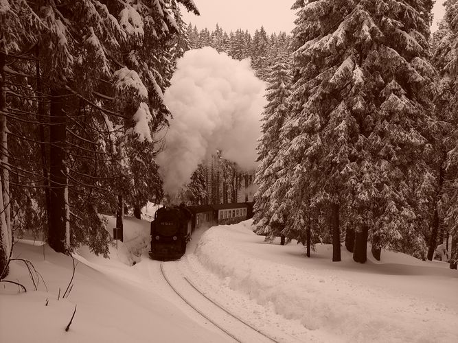 Auf der Brockenbahn im Eckerloch am 20.02.05