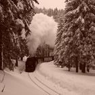 Auf der Brockenbahn im Eckerloch am 20.02.05