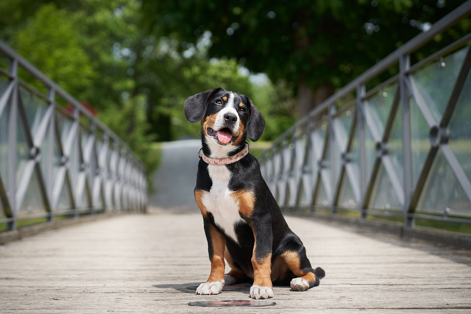 Auf der Brücke