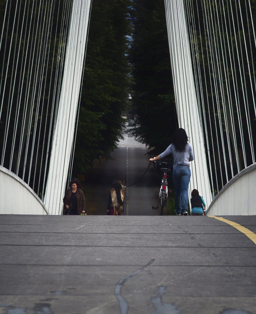 Auf der Brücke