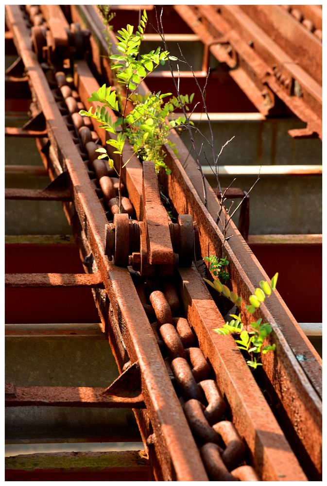 Auf der Brücke - Zeche Zollverein