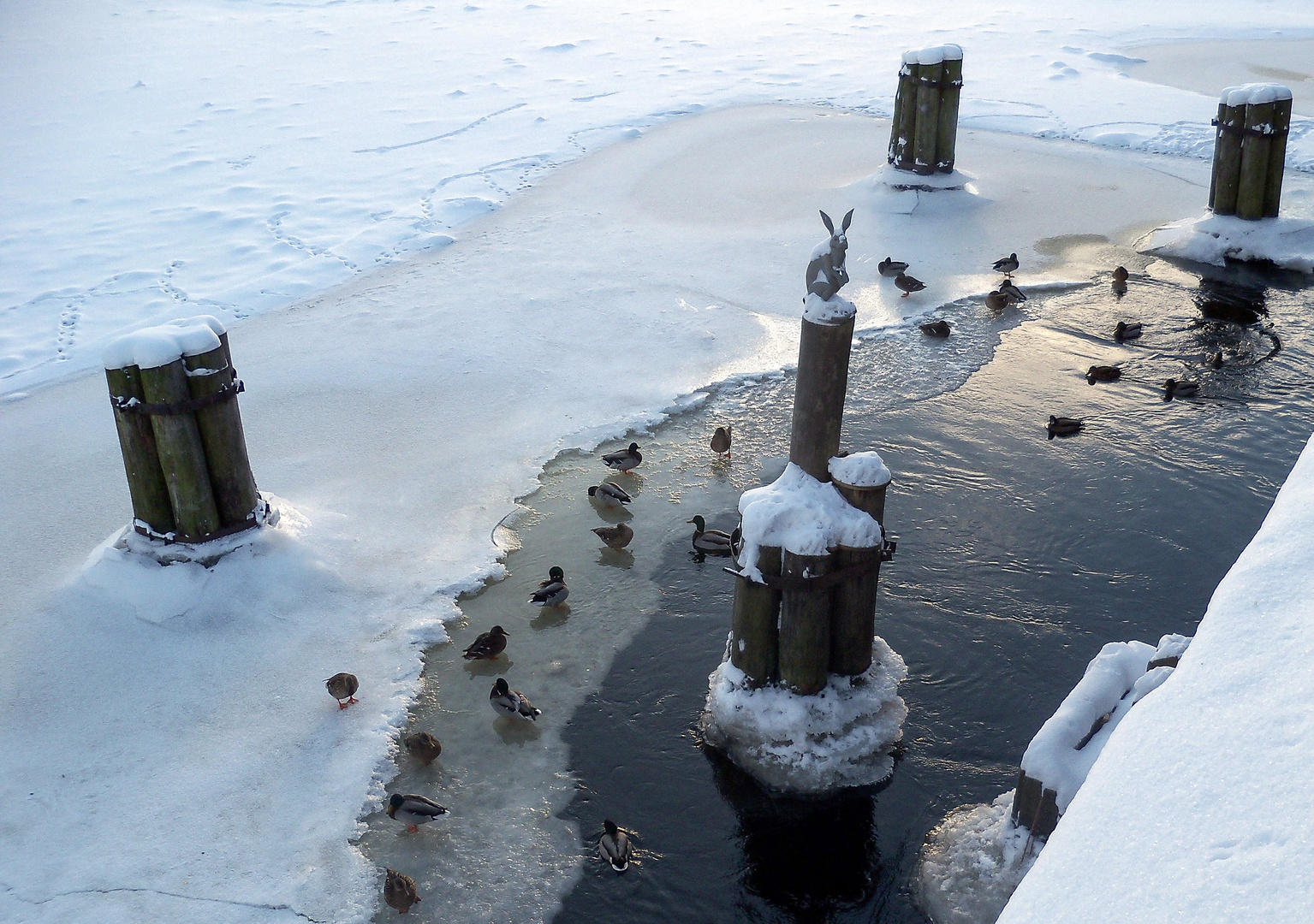 Auf der Brücke zur Haseninsel im Dezember