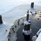 Auf der Brücke zur Haseninsel im Dezember