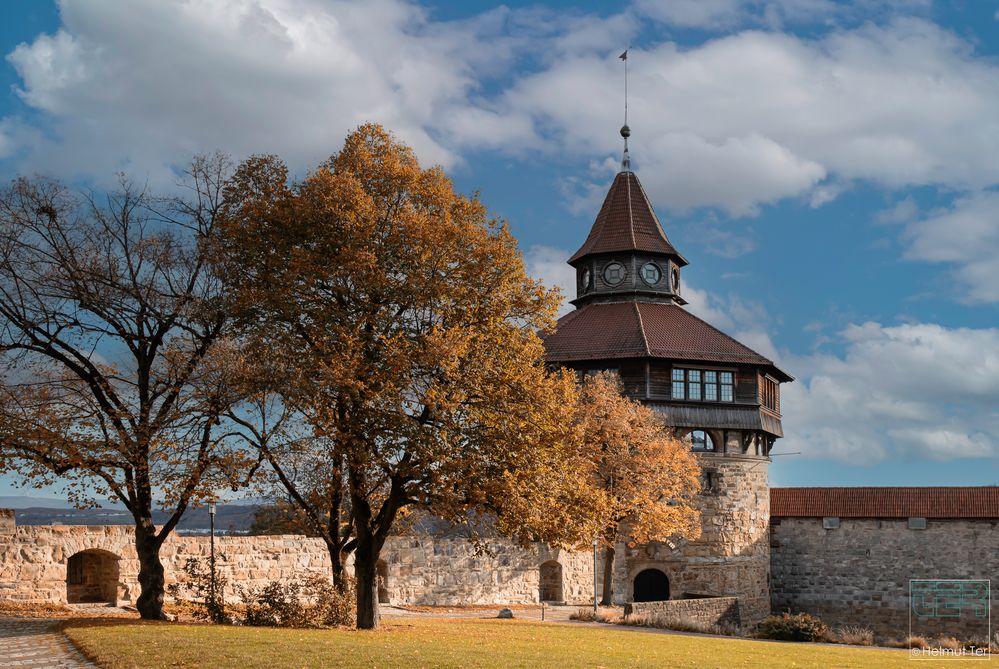 Auf der Burg