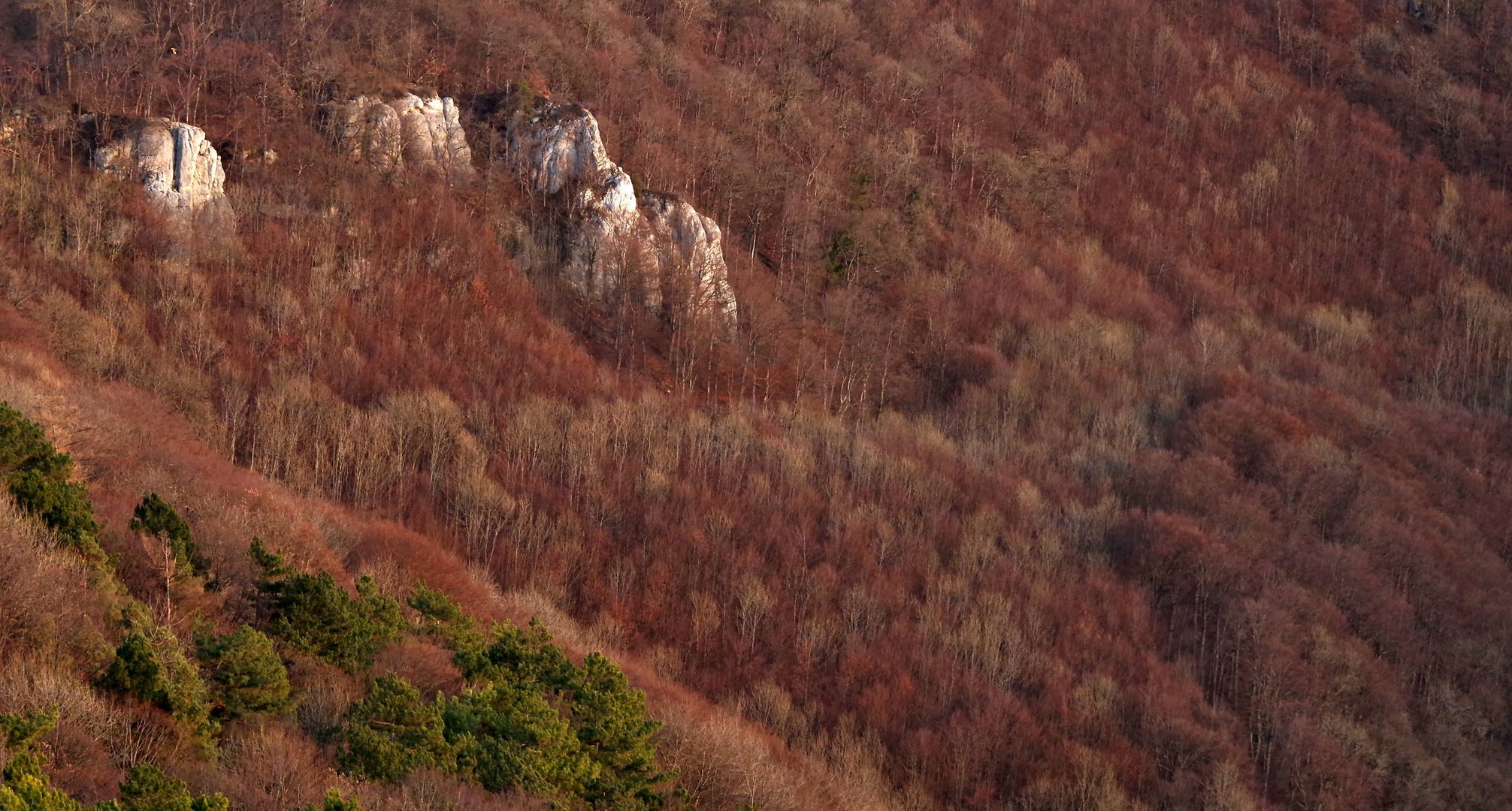 auf der Burg Hohen Neuffen