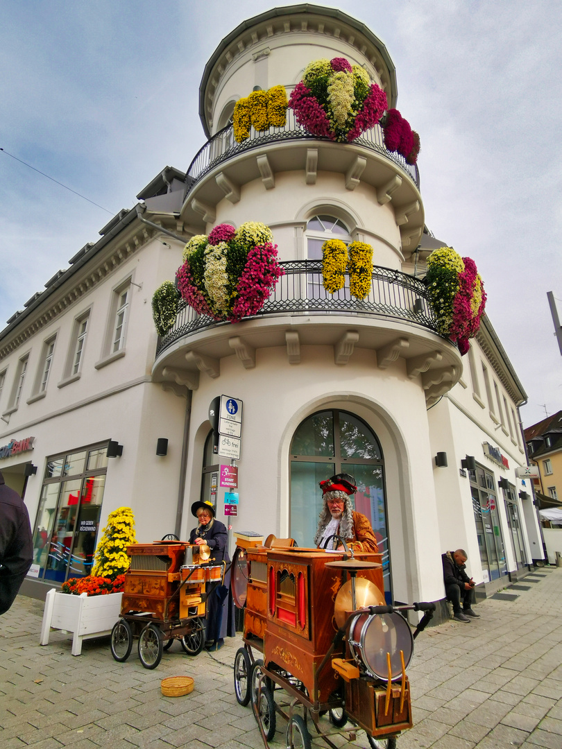 Auf der Chrysanthema in Lahr unterwegs