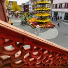 Auf der Chrysanthema in Lahr unterwegs