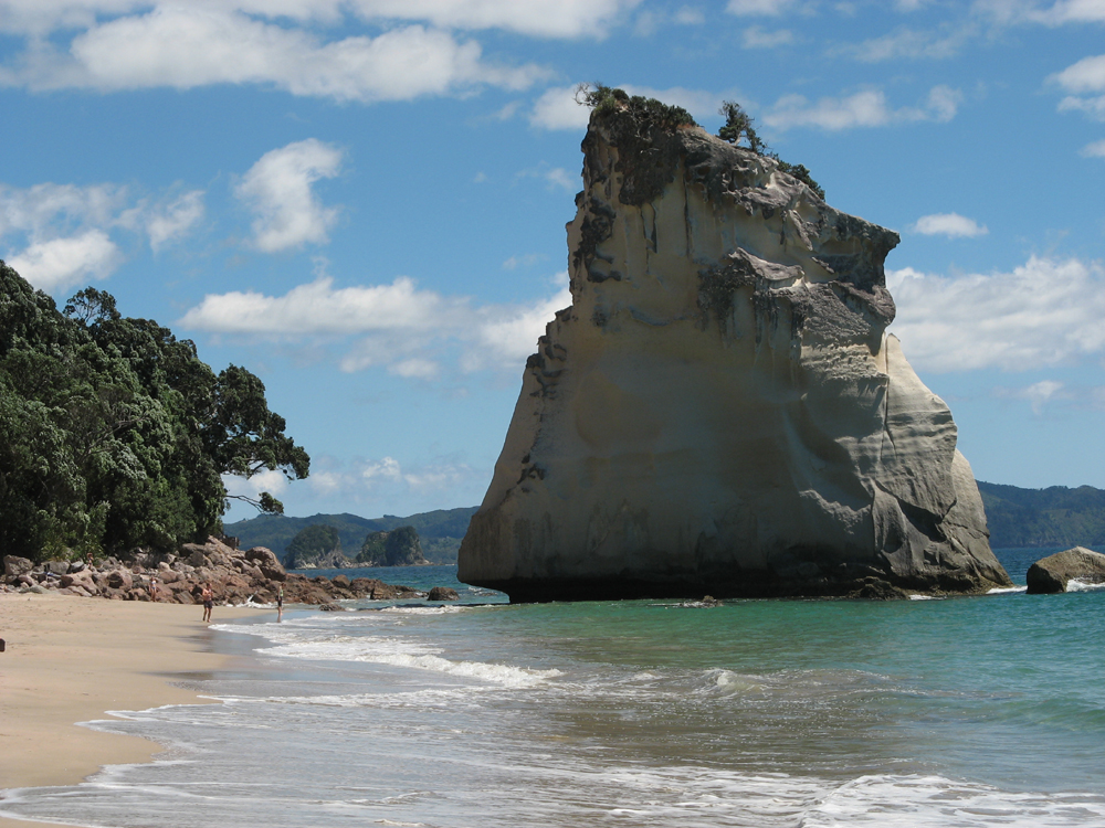 auf der Coromandel-Halbinsel