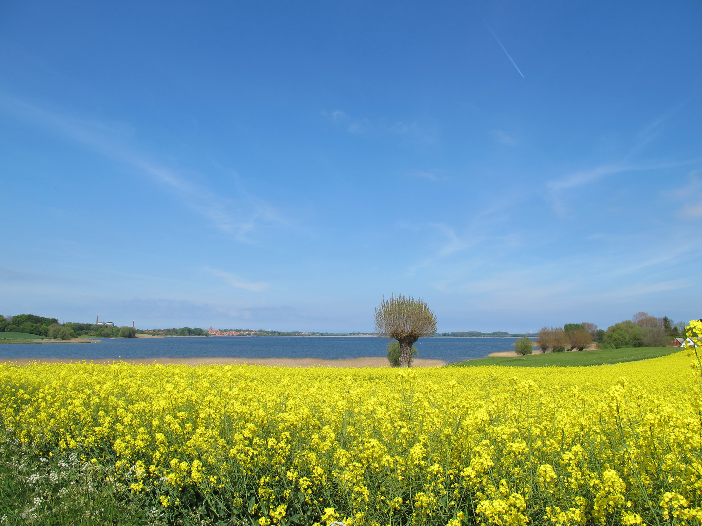 auf der dänischen insel mön im mai 2014