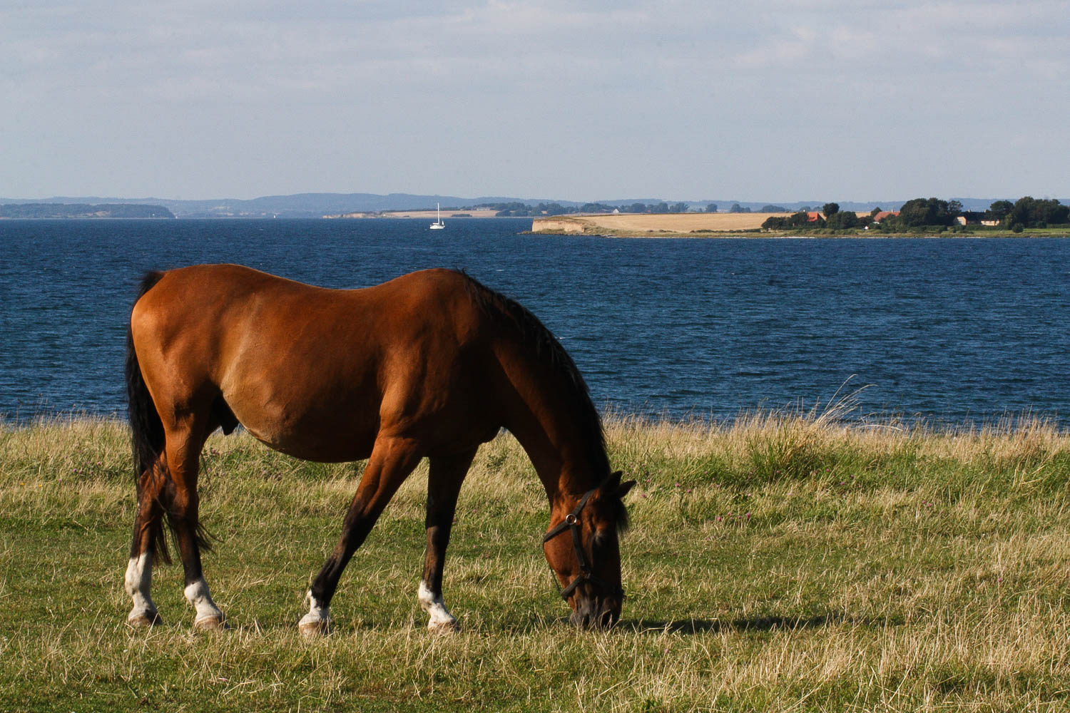 Auf der dänischen Insel Ærø 