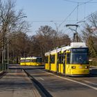 Auf der Dammbrücke