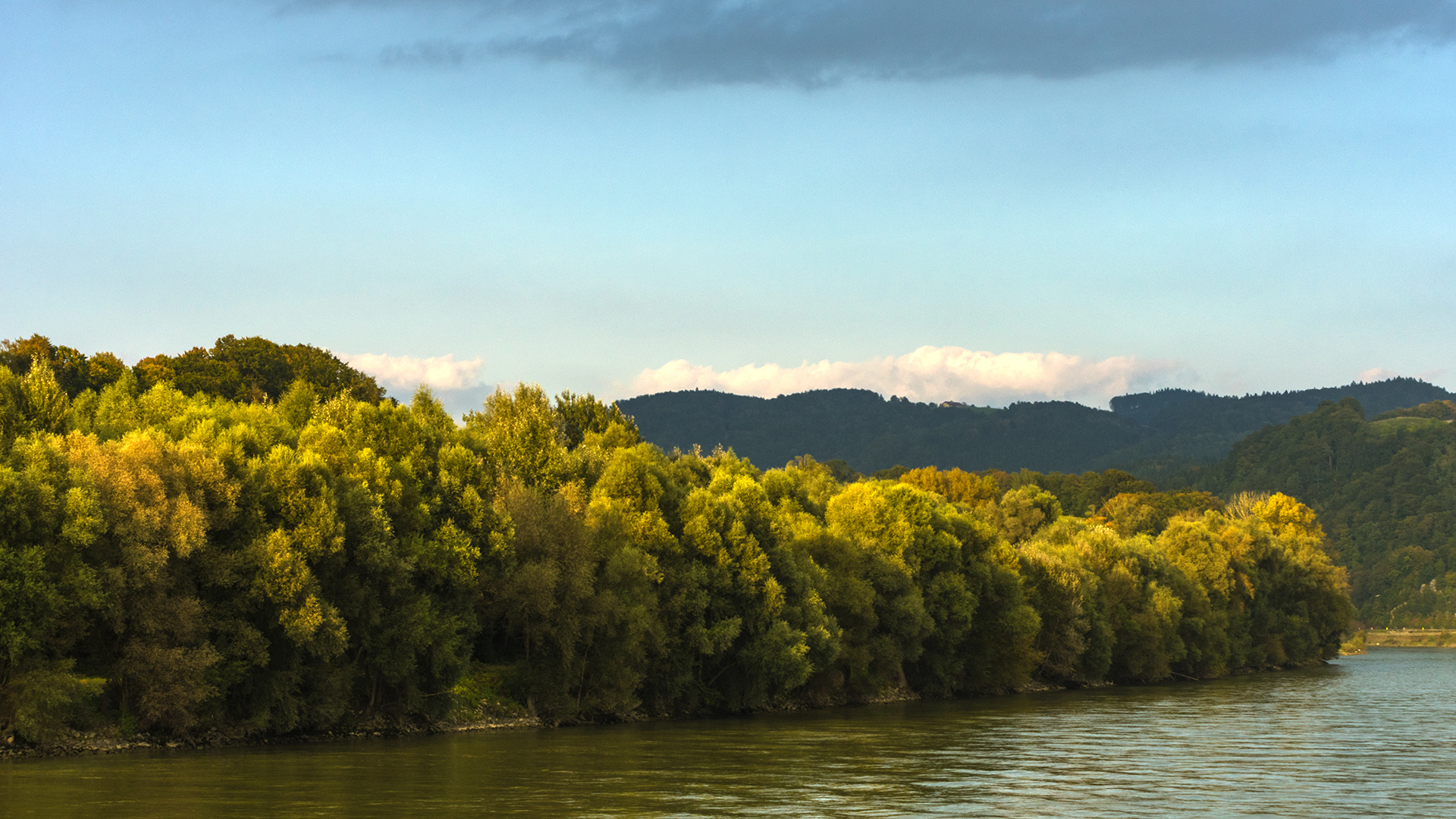 Auf der Donau 04 ...