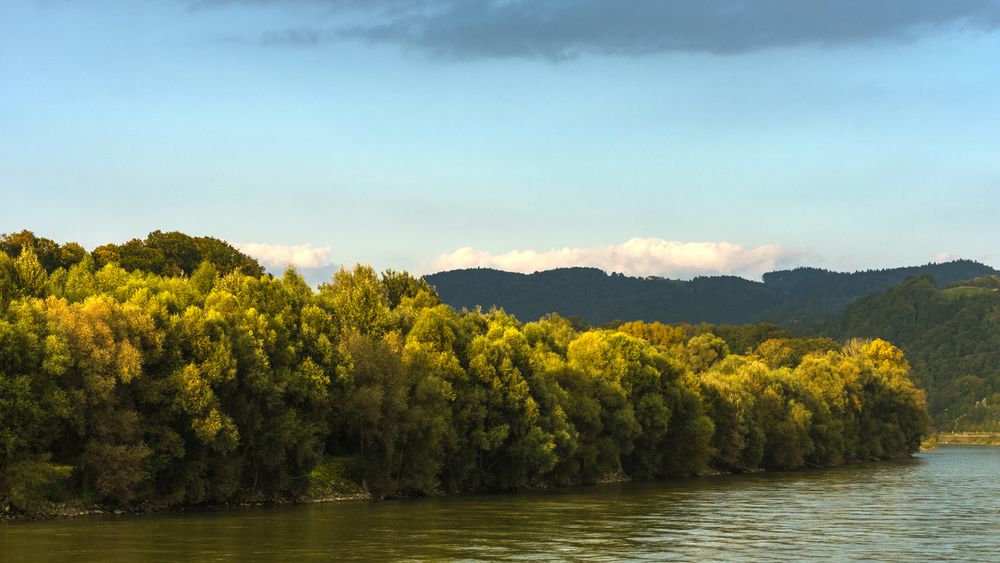 Auf der Donau 04 ...