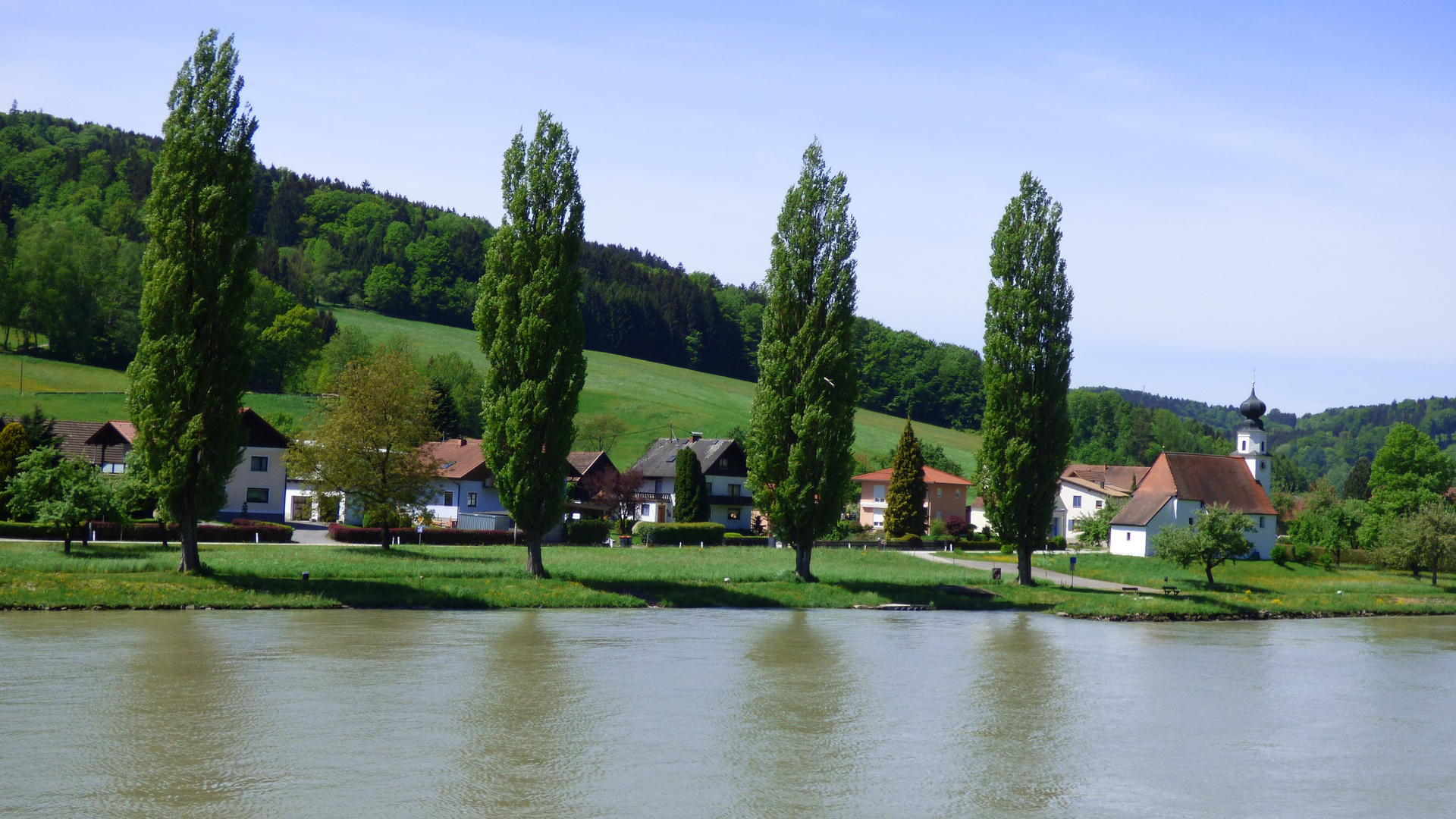 auf der Donau 1