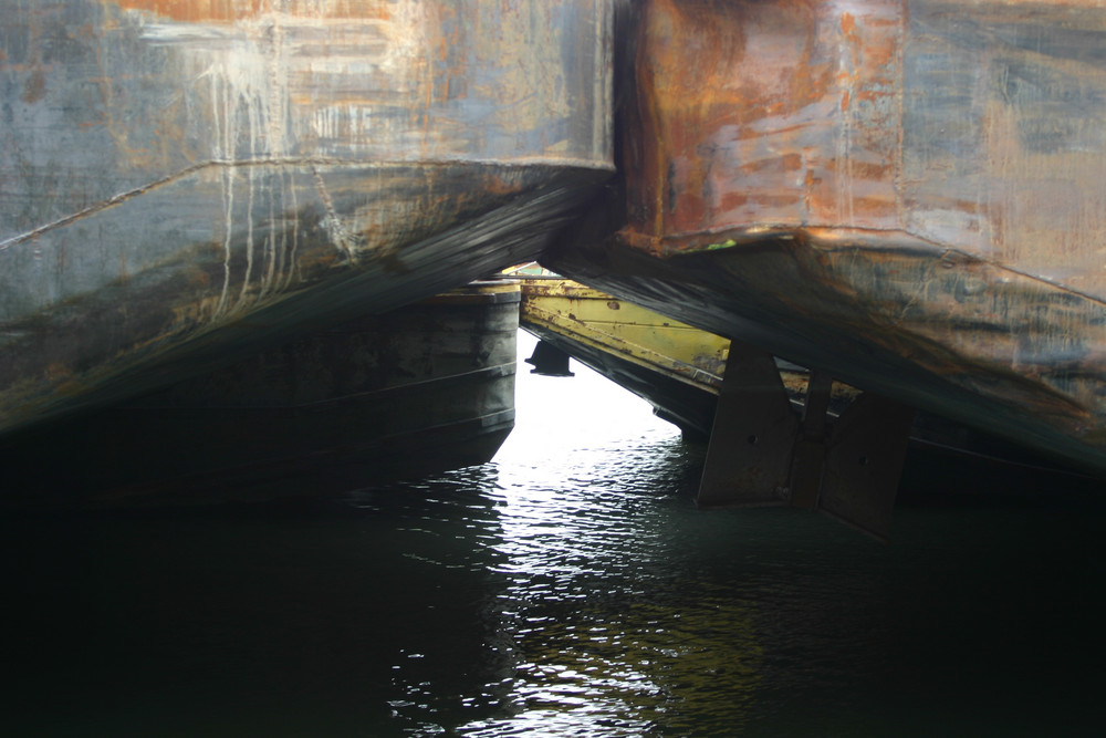 Auf der Donau in Wien