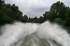 auf der donau von wien nach bratislava