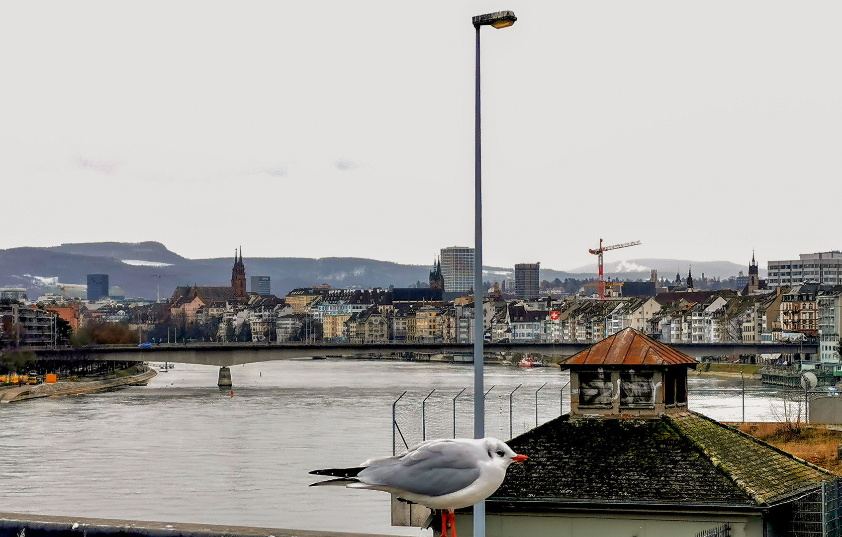 auf der Dreirosenbrücke