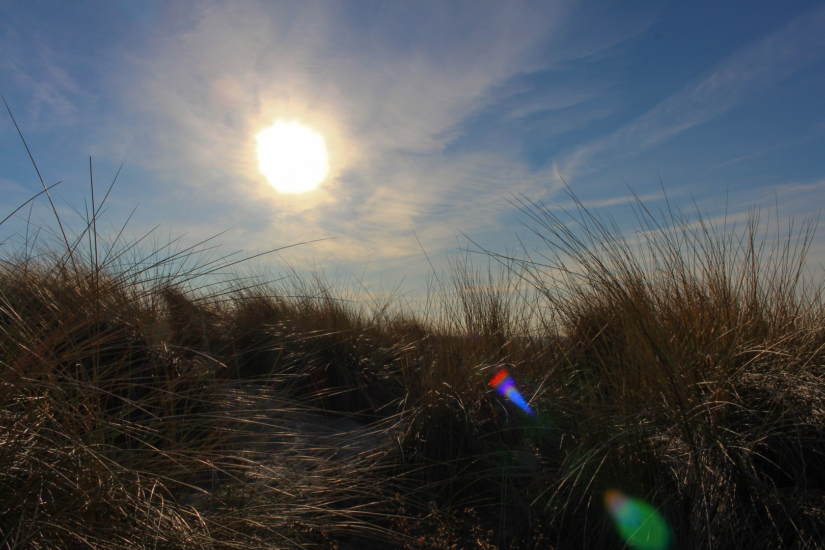 Auf der Düne im Abendlicht