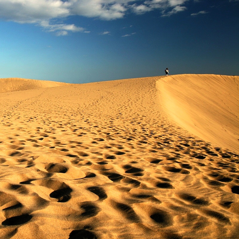 Auf der Dünen von Maspalomas