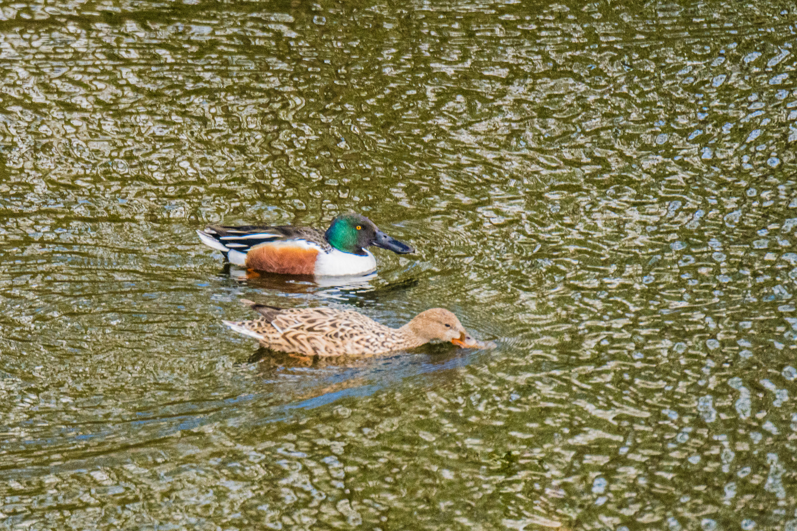 Auf der Durchreise.