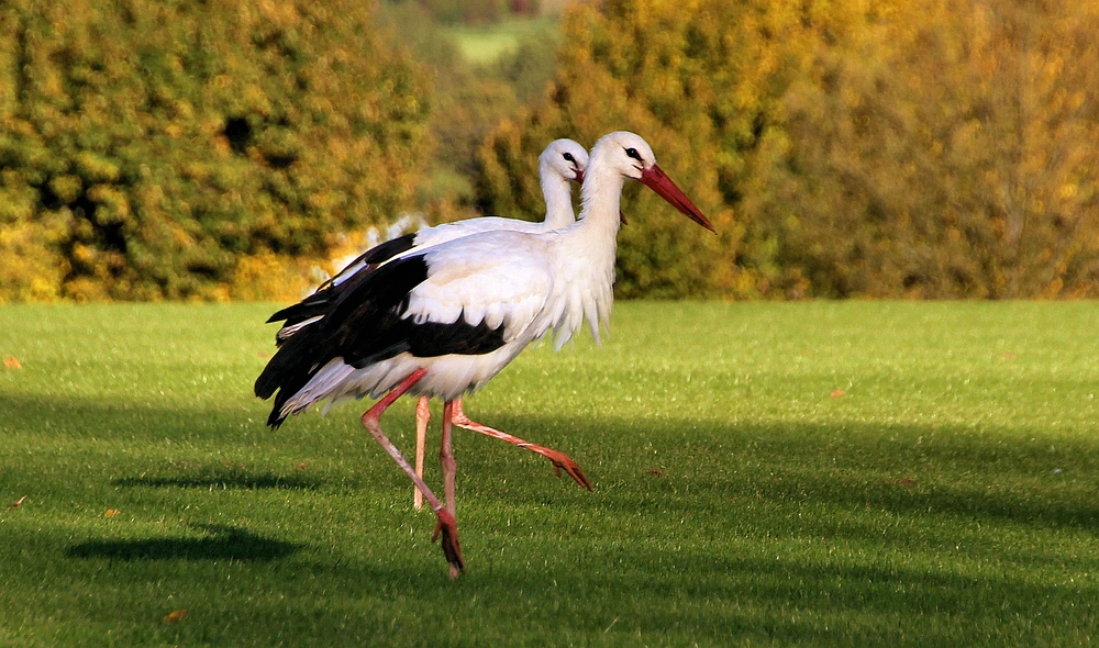 AUF DER DURCHREISE