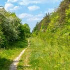 Auf der ehemaligen Trasse der A4 bei Eisenach