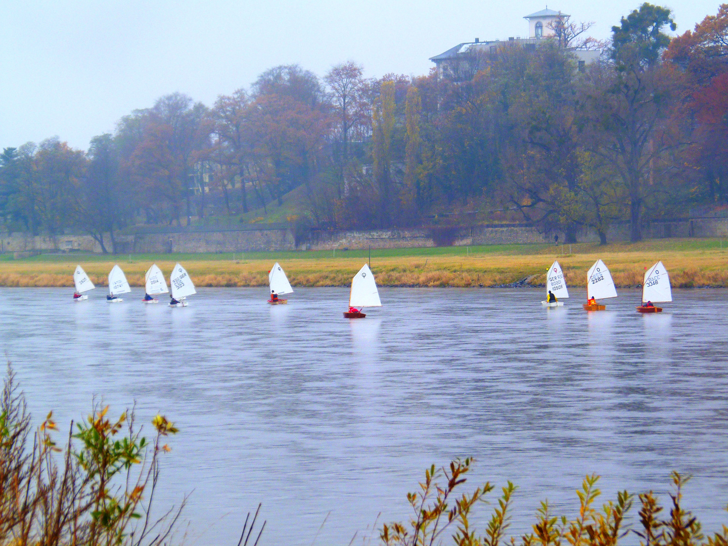 auf der elbe