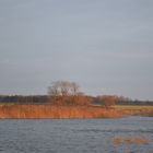 Auf der Elbe 2