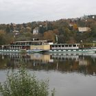 auf der elbe