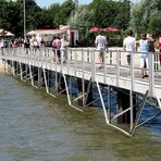 Auf der Elbinsel Krautsand ..... auf dem Steg in die Elbe