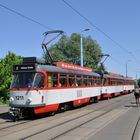 auf der Elisabethbrücke