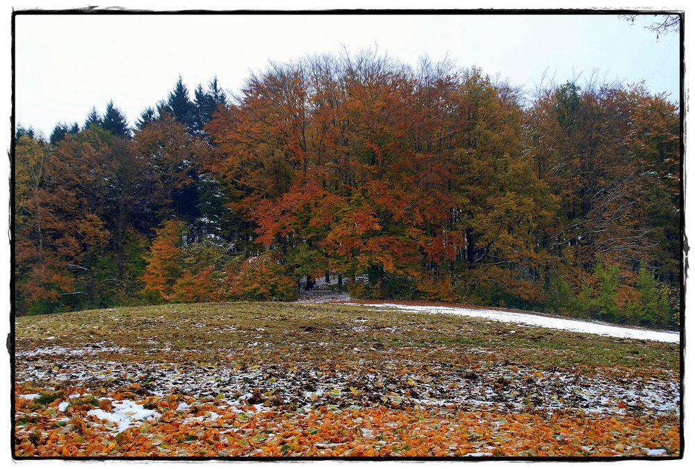 Auf der Endlerkuppe...