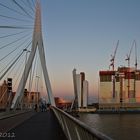 Auf der Erasmussbrücke Rotterdam