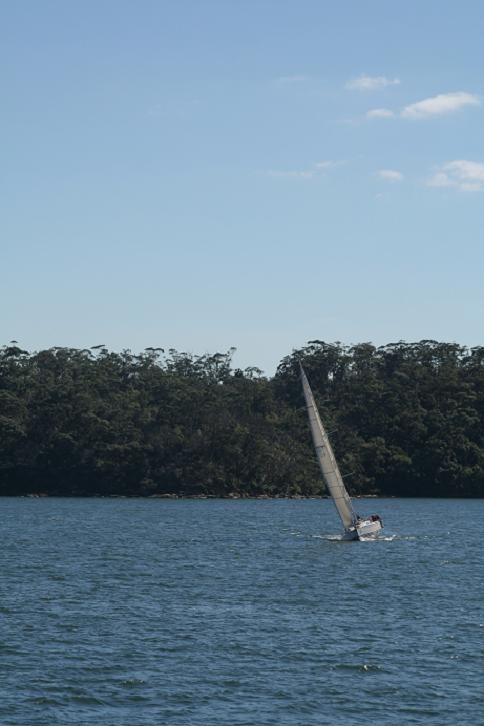 Auf der Faehre nach Manly