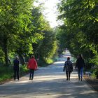 auf der Fährstr. unterwegs ...