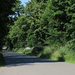 auf der Fährstraße unterweg 