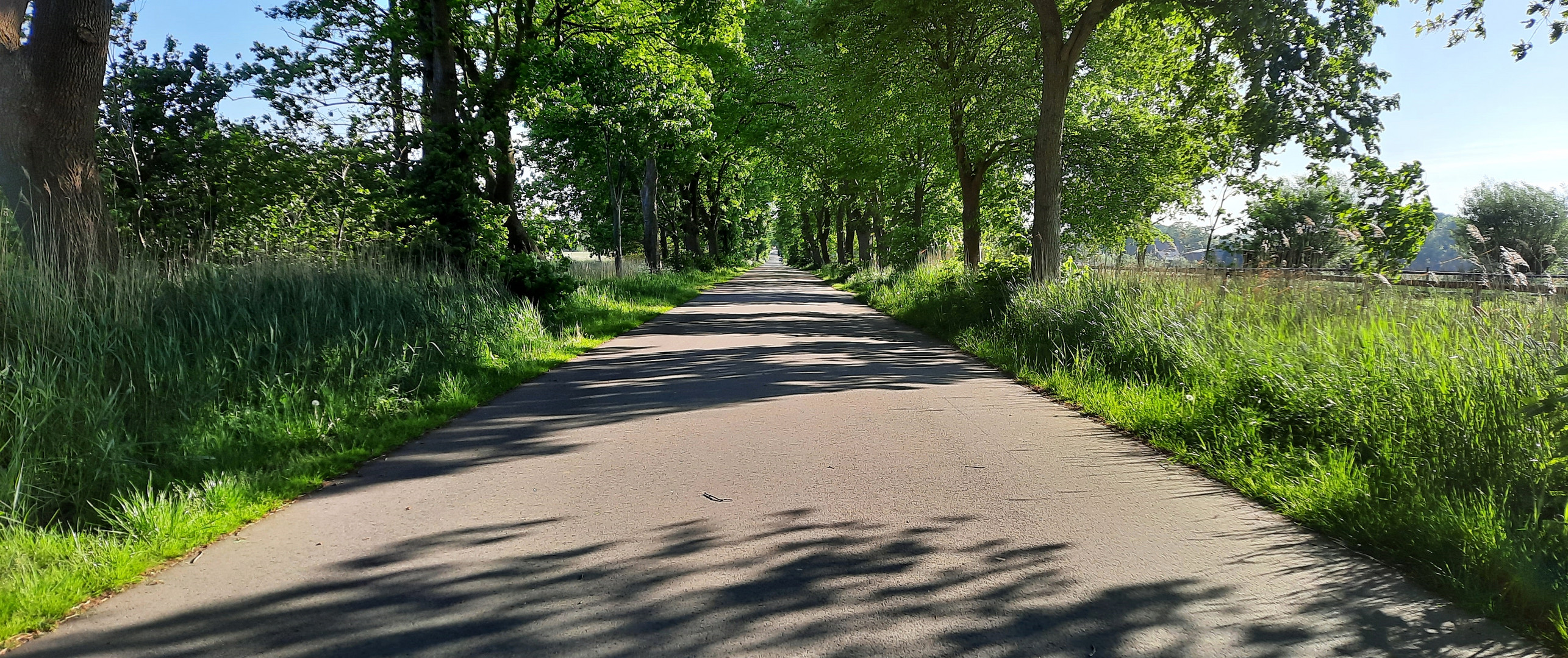 auf der Fährstraße unterwegs 