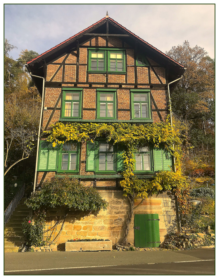 Auf der Fahrt durch den Wald