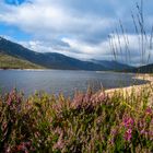 auf der Fahrt durch die Highlands