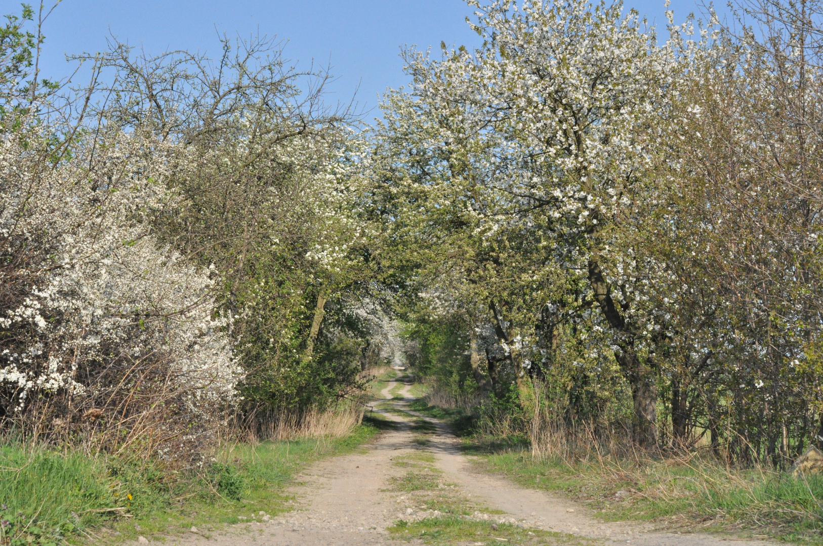 Auf der Fahrt mit der Draisine in Templin