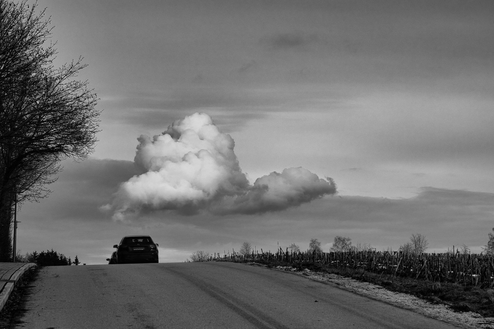 auf der Fahrt nach Wolkenkuckucksheim