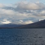 auf der Fahrt von Grimsey nach Akureyri II