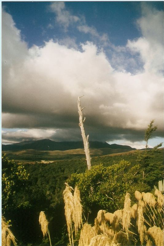 Auf der Fahrt zum Mount Ruapehu