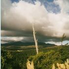 Auf der Fahrt zum Mount Ruapehu