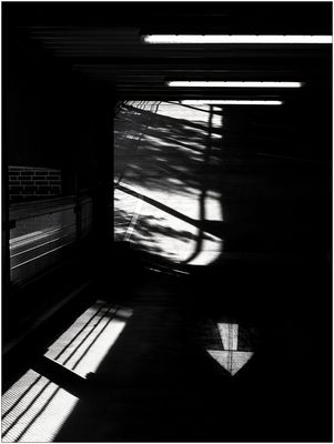 Auf der falschen Spur