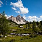 auf der Fanes Alm