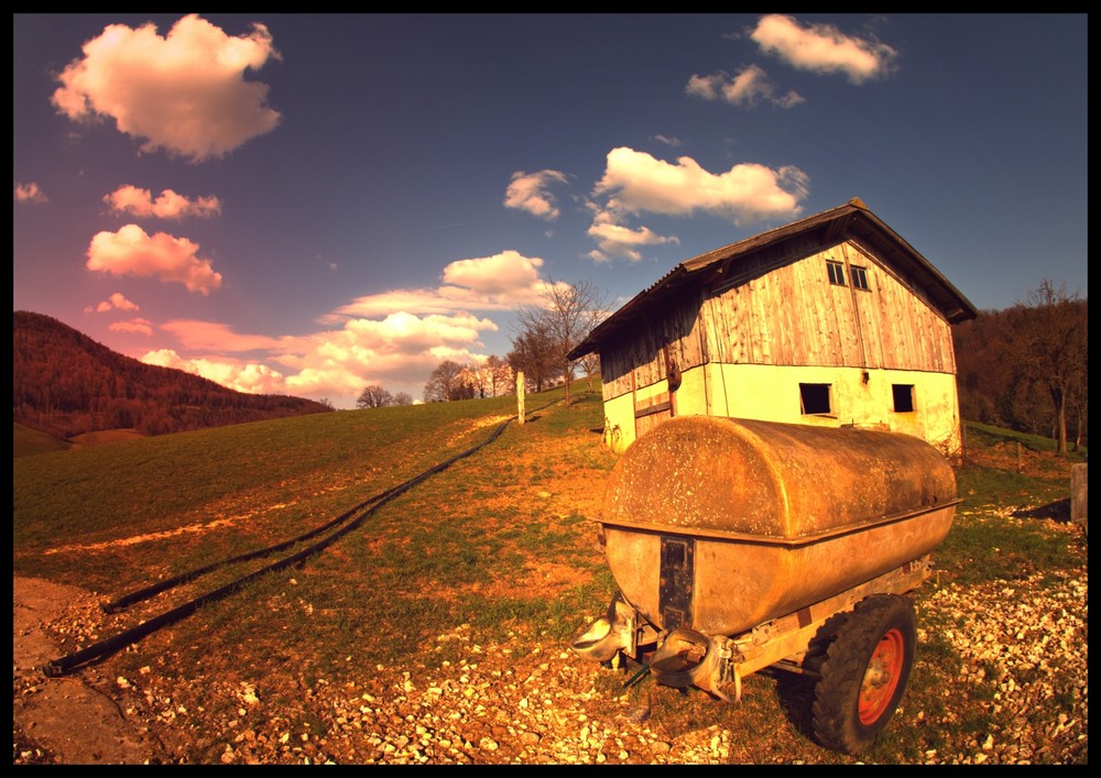 auf der Farm...